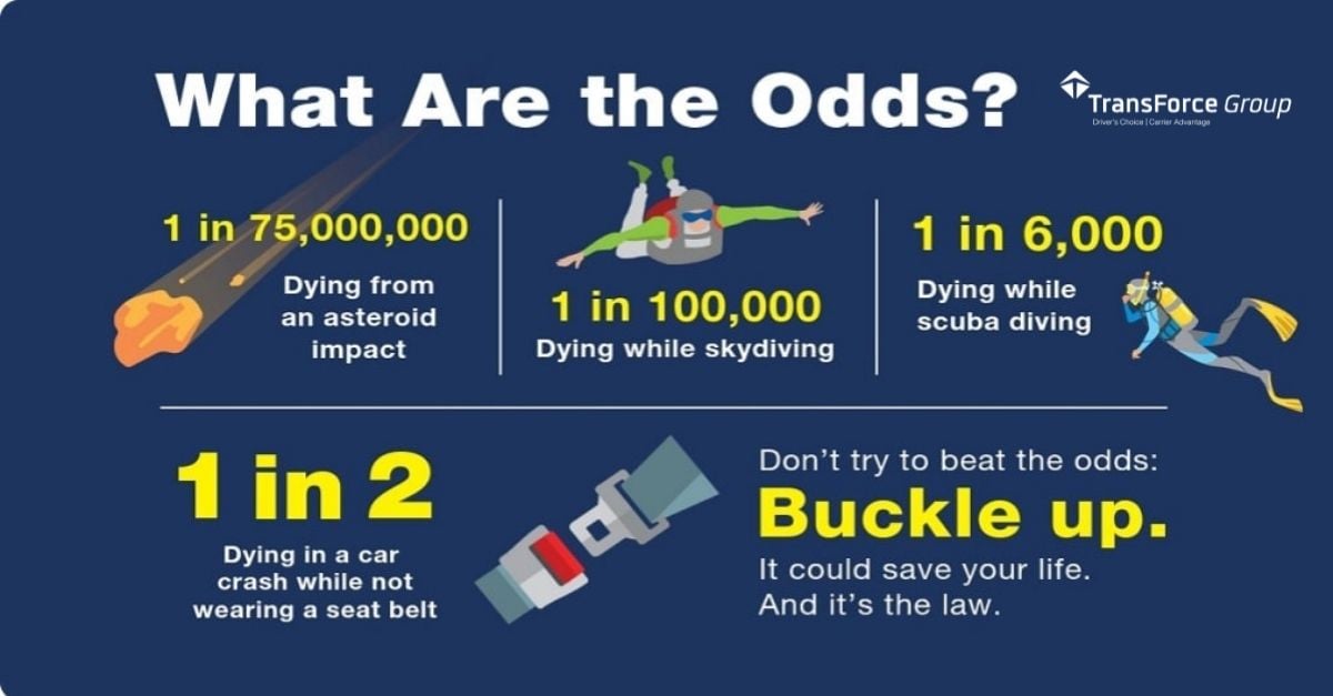 Seat Belt Law - TLC